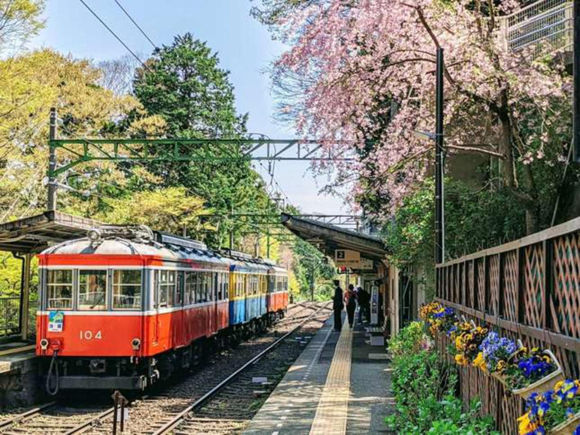 Hotel Morinokaze Hakone Sengokuhara מראה חיצוני תמונה